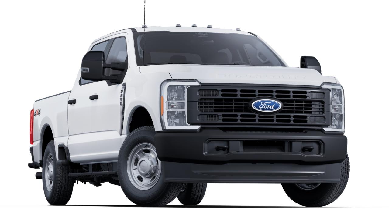 2025 Ford F-250  Photo