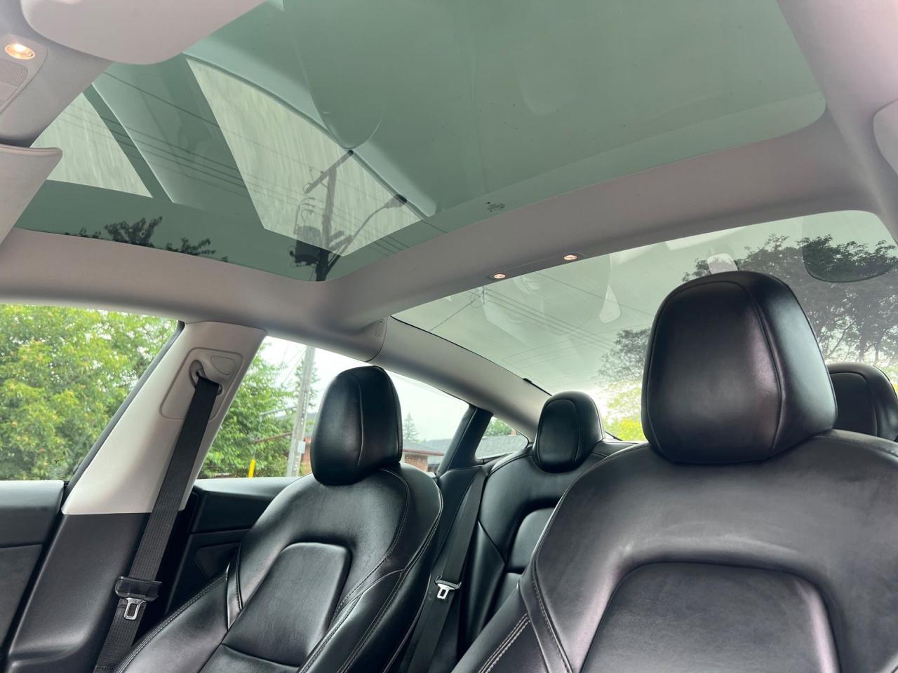 2021 Tesla Model 3 STANDARD RANGE PLUS - Photo #13