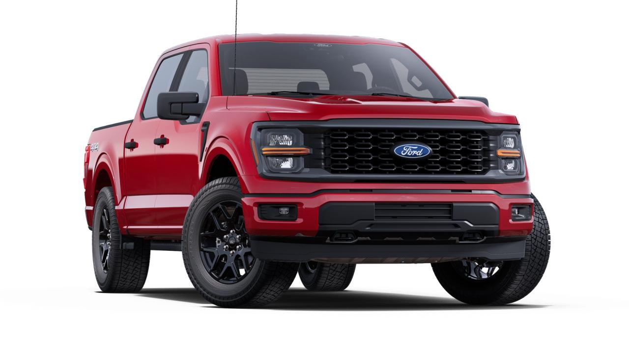 2025 Ford F-150 STX 4WD SuperCrew 5.5' Box Photo