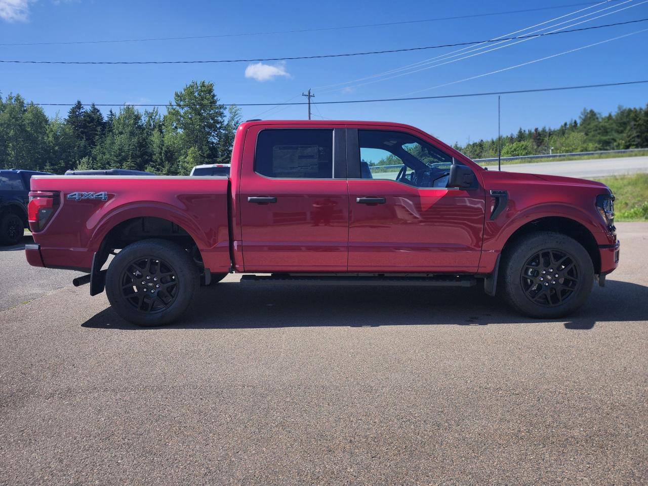 2025 Ford F-150 STX 4WD SuperCrew 5.5' Box Photo5