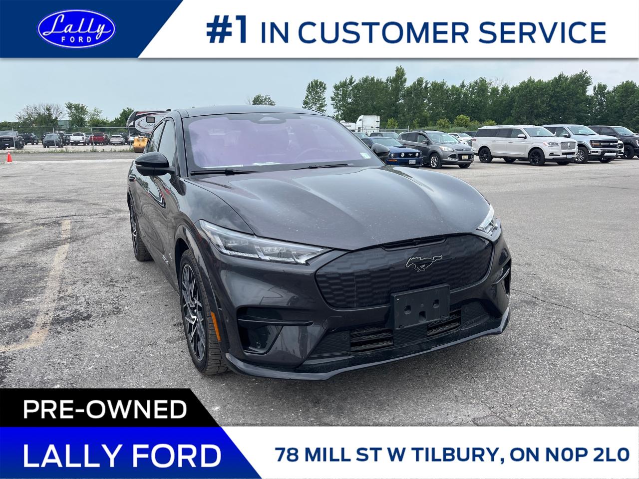 Used 2022 Ford Mustang Mach-E GT Performance Edition for sale in Tilbury, ON