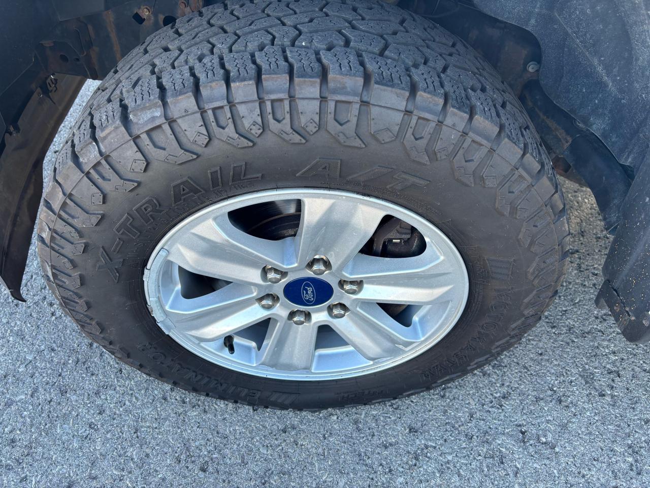 2019 Ford F-150 XLT, Reg. Cab. 8 Ft. Box. - Photo #22
