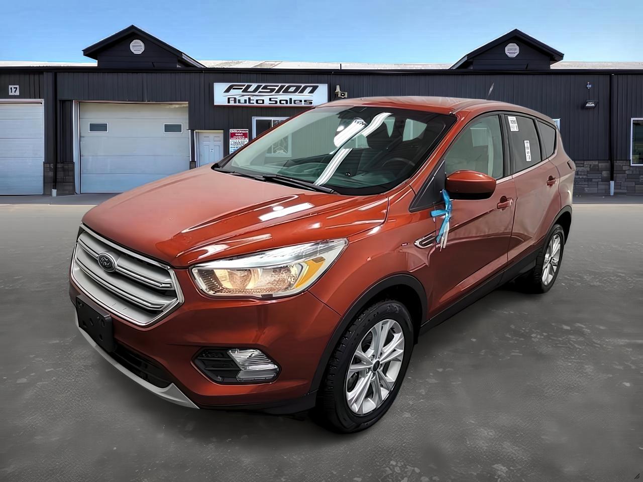 Used 2019 Ford Escape SE 4WD for sale in Tilbury, ON