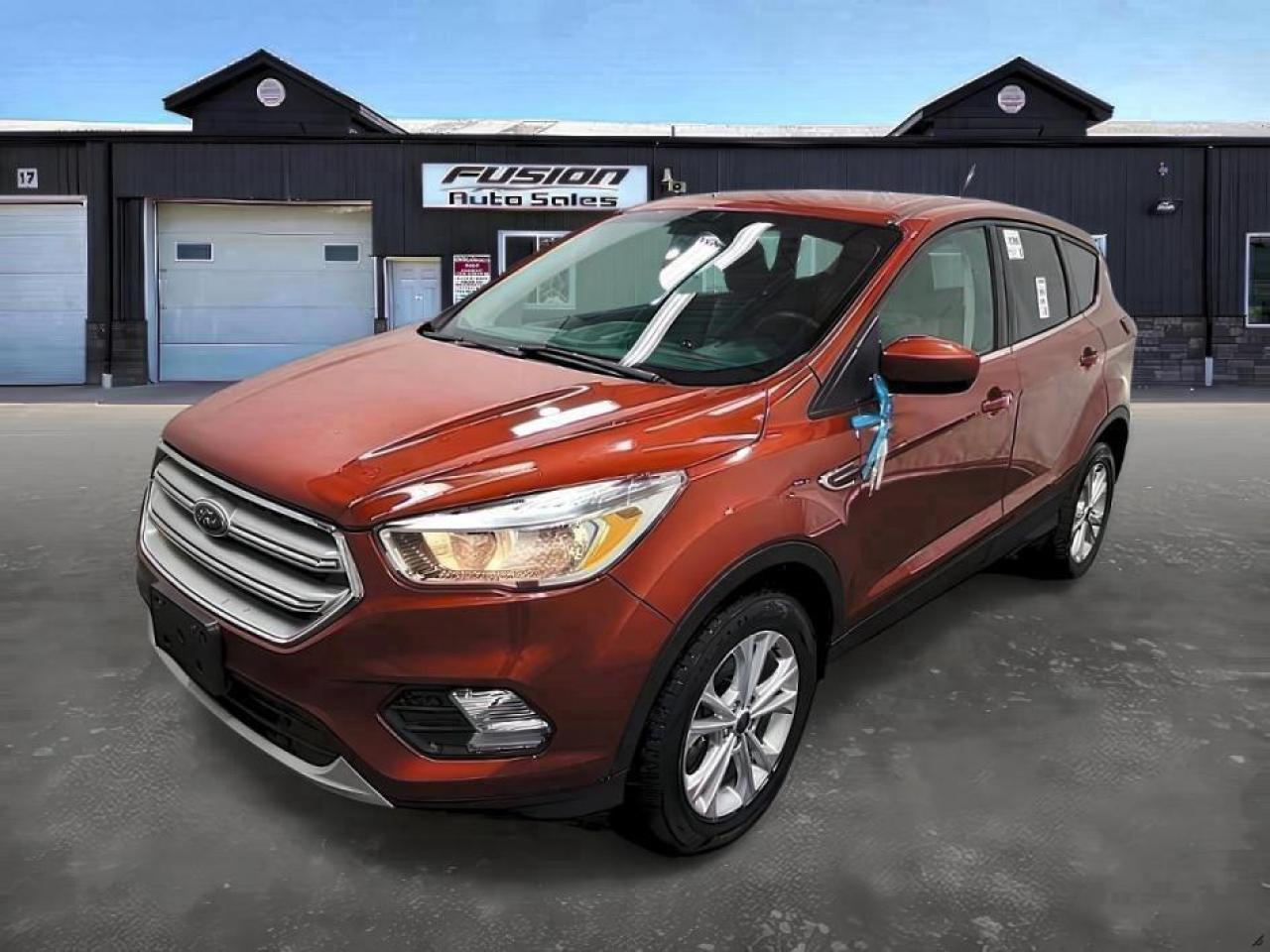 2019 Ford Escape SE 4WD