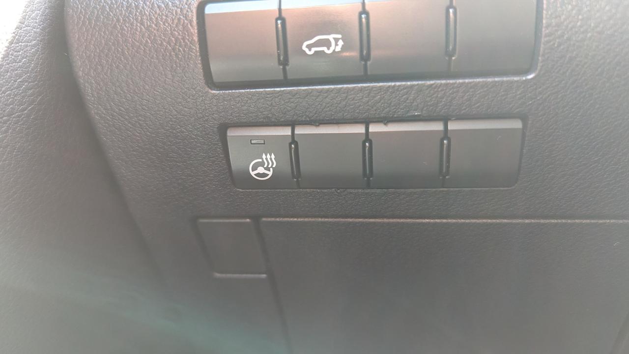2016 Lexus RX 350 AWD 4dr - Photo #17
