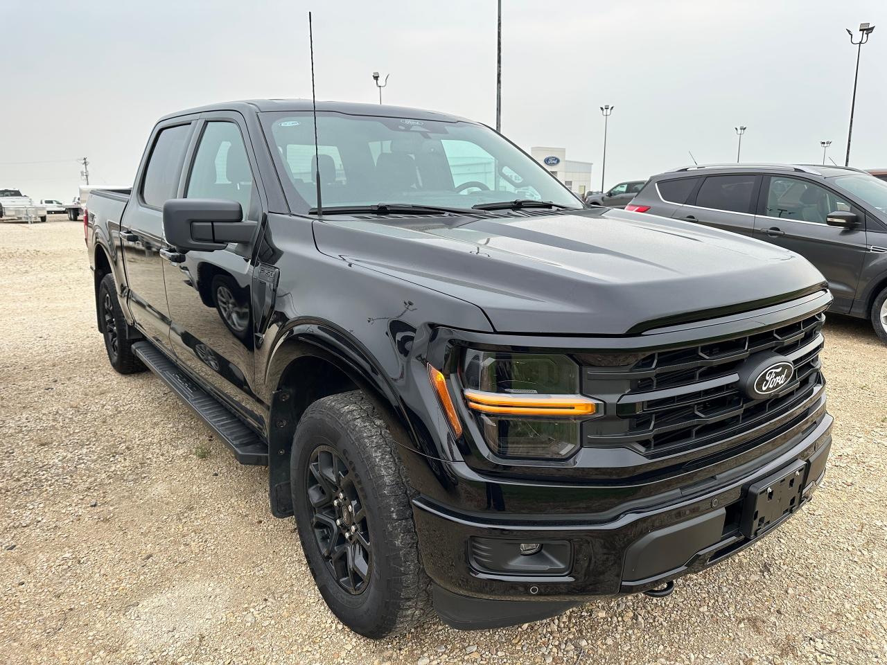 2024 Ford F-150 XLT Photo