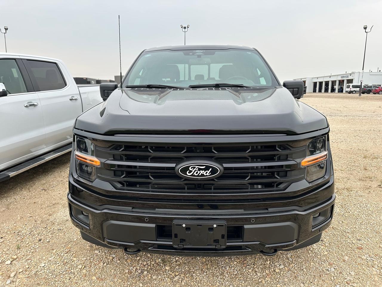 2024 Ford F-150 XLT Photo
