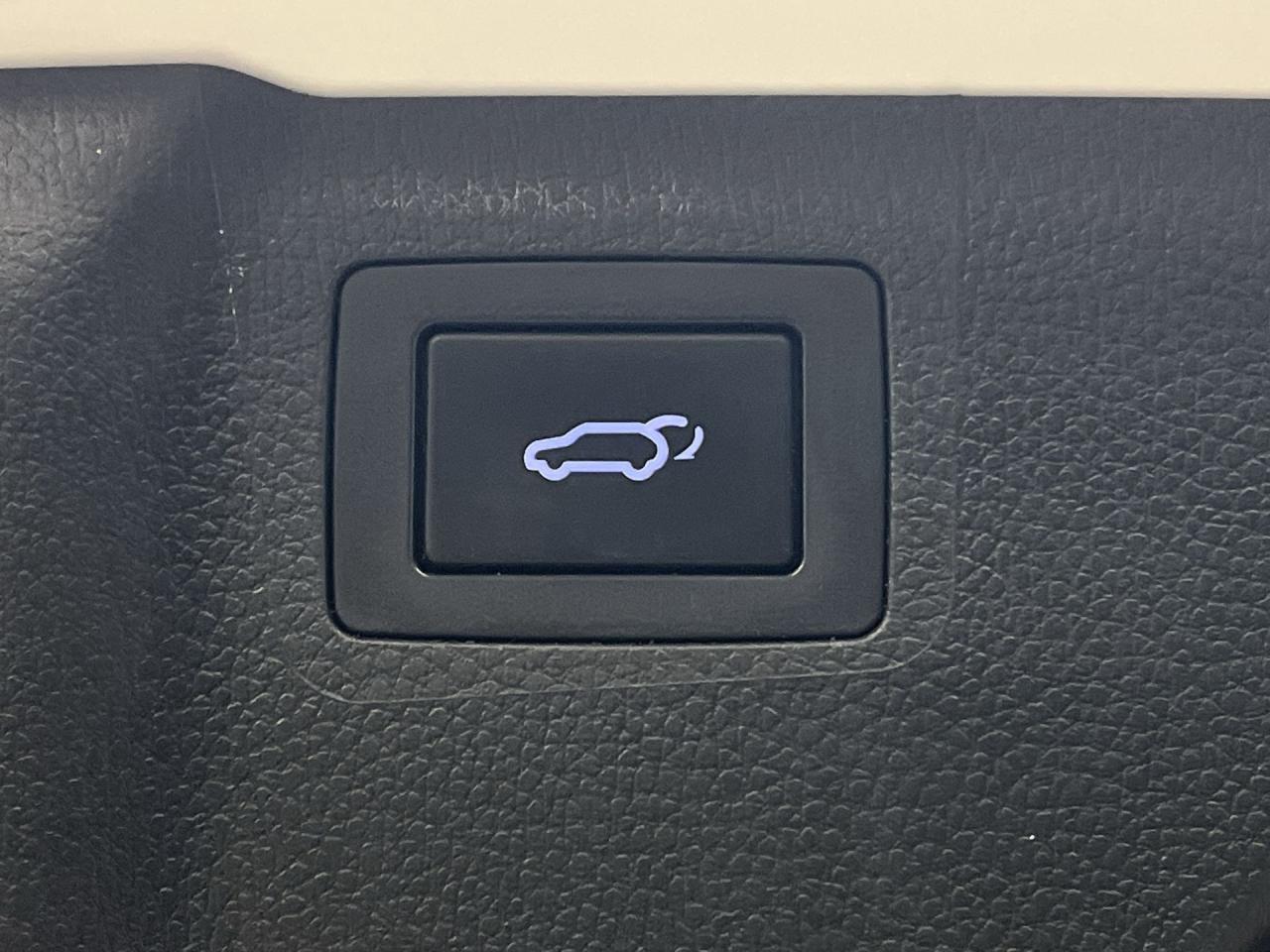 12746484