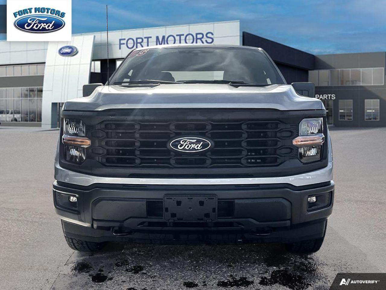 2025 Ford F-150 STX® Photo