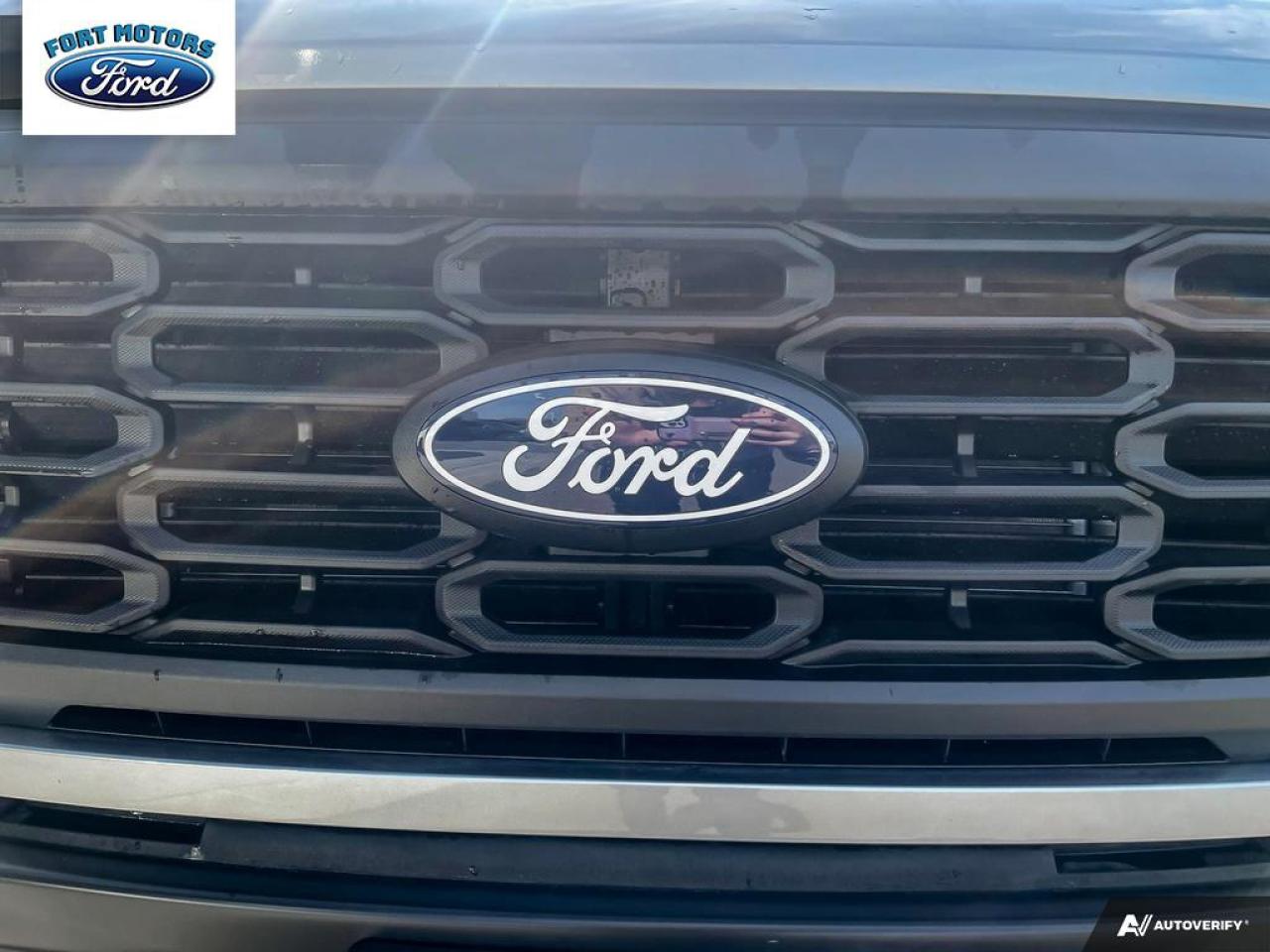 2025 Ford F-150 STX® Photo5