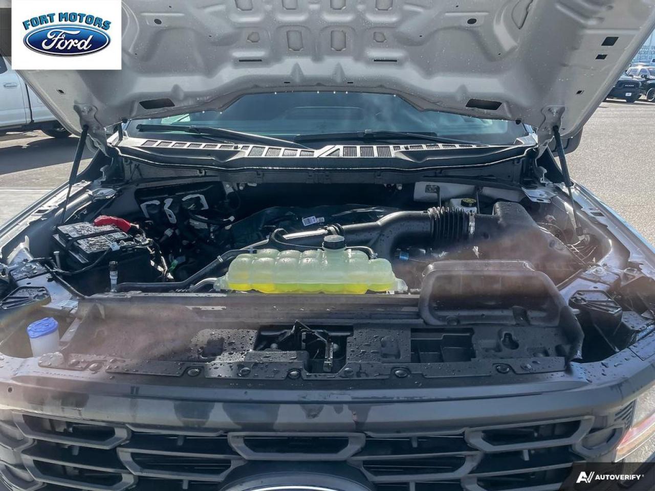 2025 Ford F-150 STX® Photo5