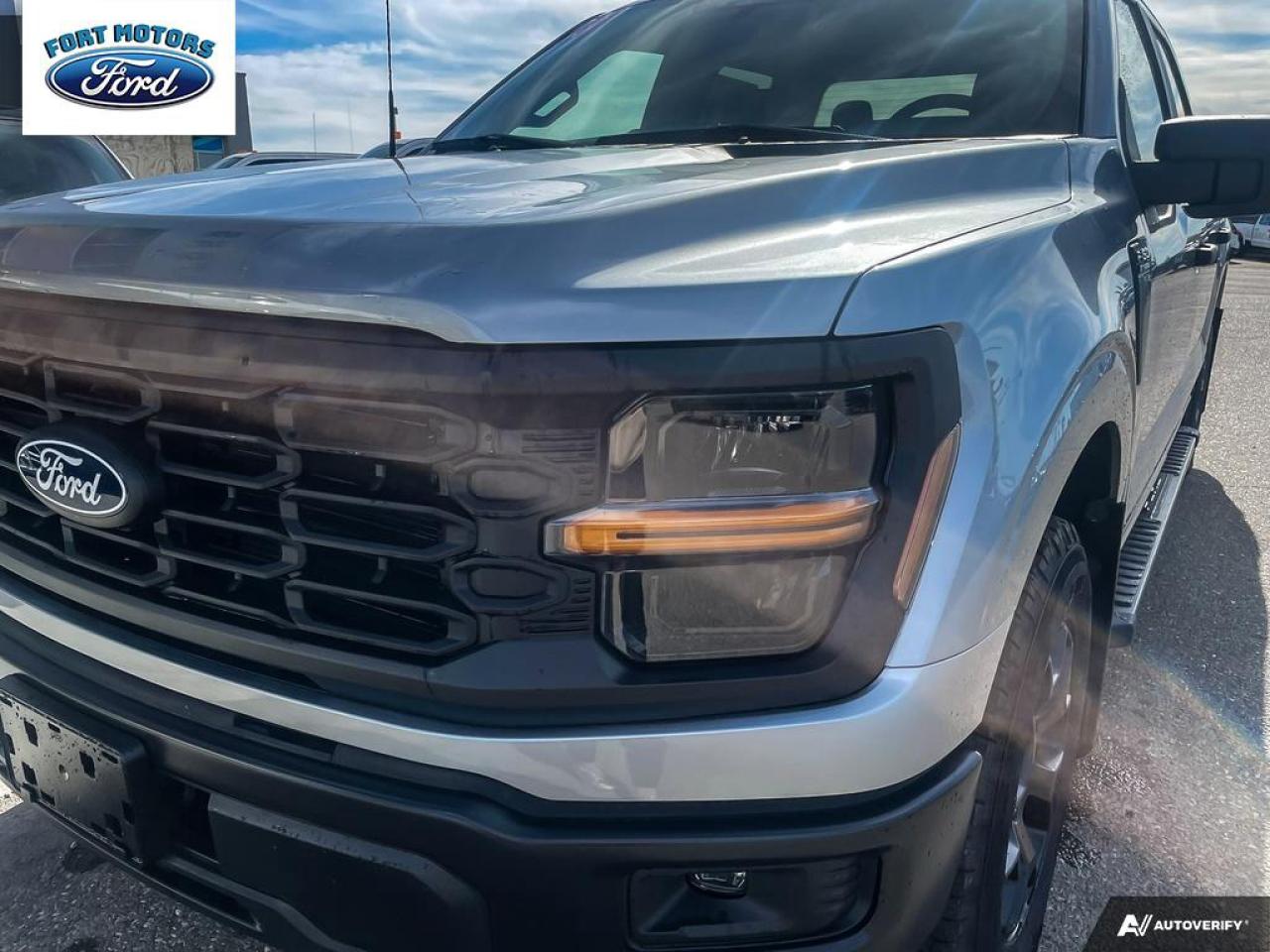 2025 Ford F-150 STX® Photo5