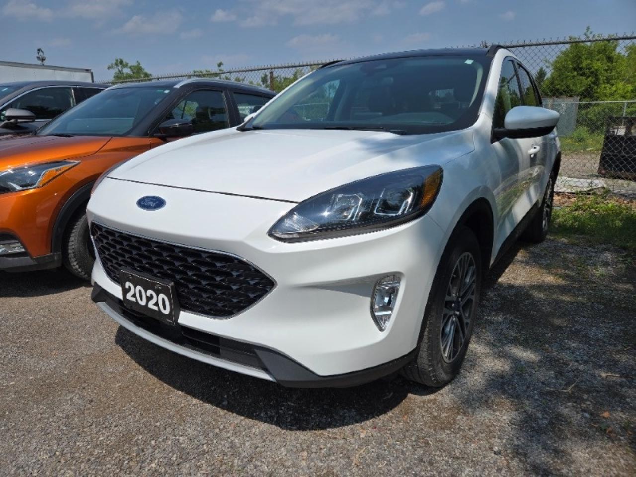 Used 2020 Ford Escape SEL for sale in Peterborough, ON