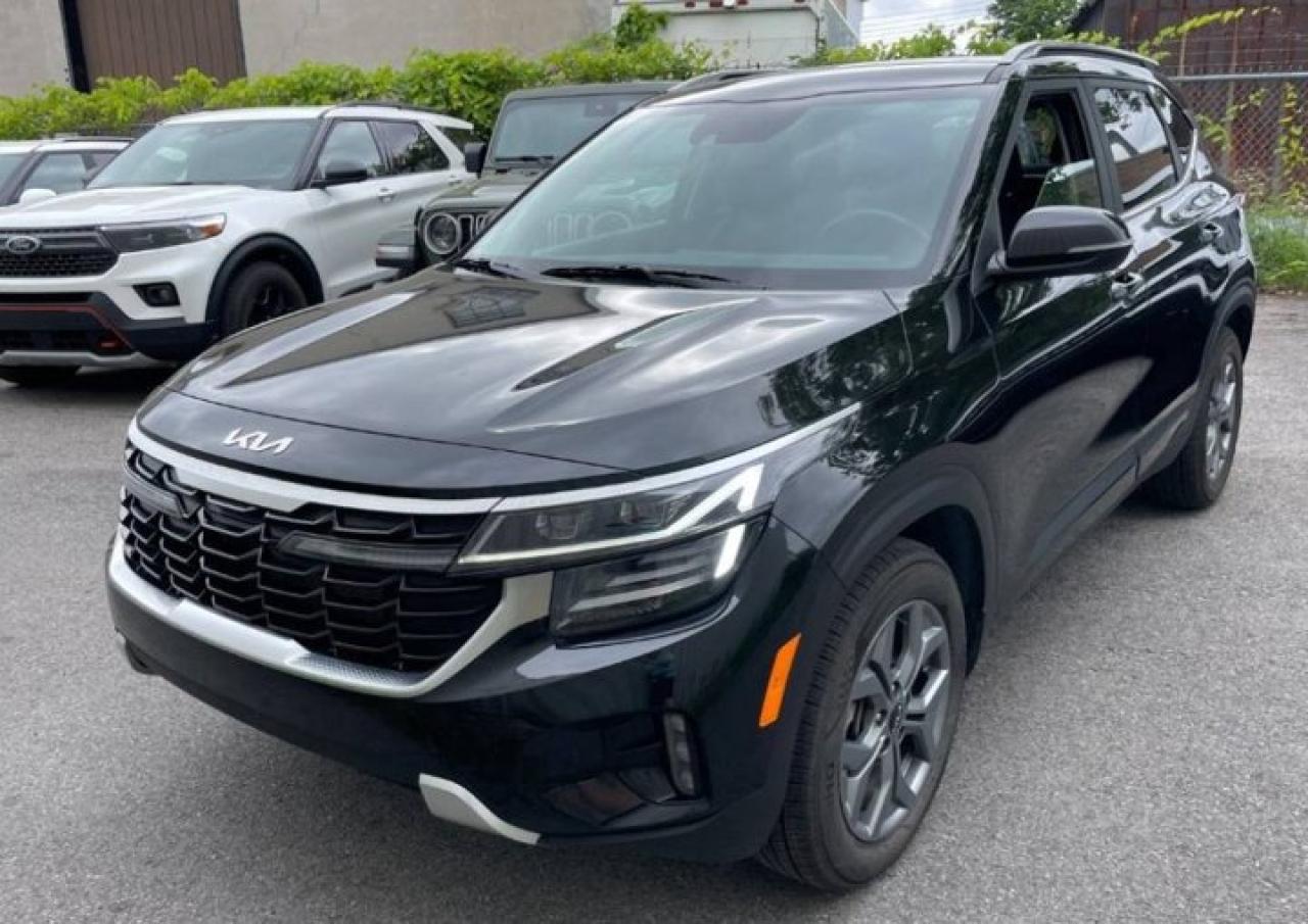 Used 2024 Kia Seltos EX AWD | Leather | Sunroof | Heated Seats + Steering | Carplay + Android | Reverse Cam | and More! for sale in Guelph, ON