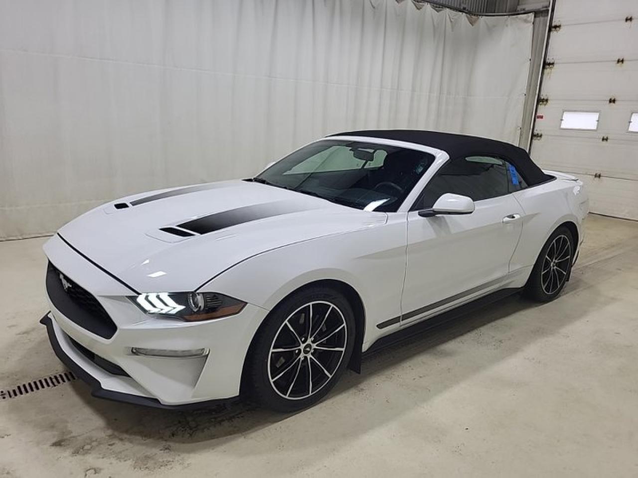 Used 2020 Ford Mustang EcoBoost Convertible - Wheel & Stripe PKG | Auto | Reverse Camera | Summer Fun!! for sale in Guelph, ON