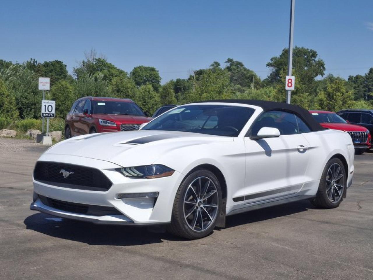 Used 2020 Ford Mustang EcoBoost Convertible - Wheel & Stripe PKG | Auto | Reverse Camera | Summer Fun!! for sale in Guelph, ON