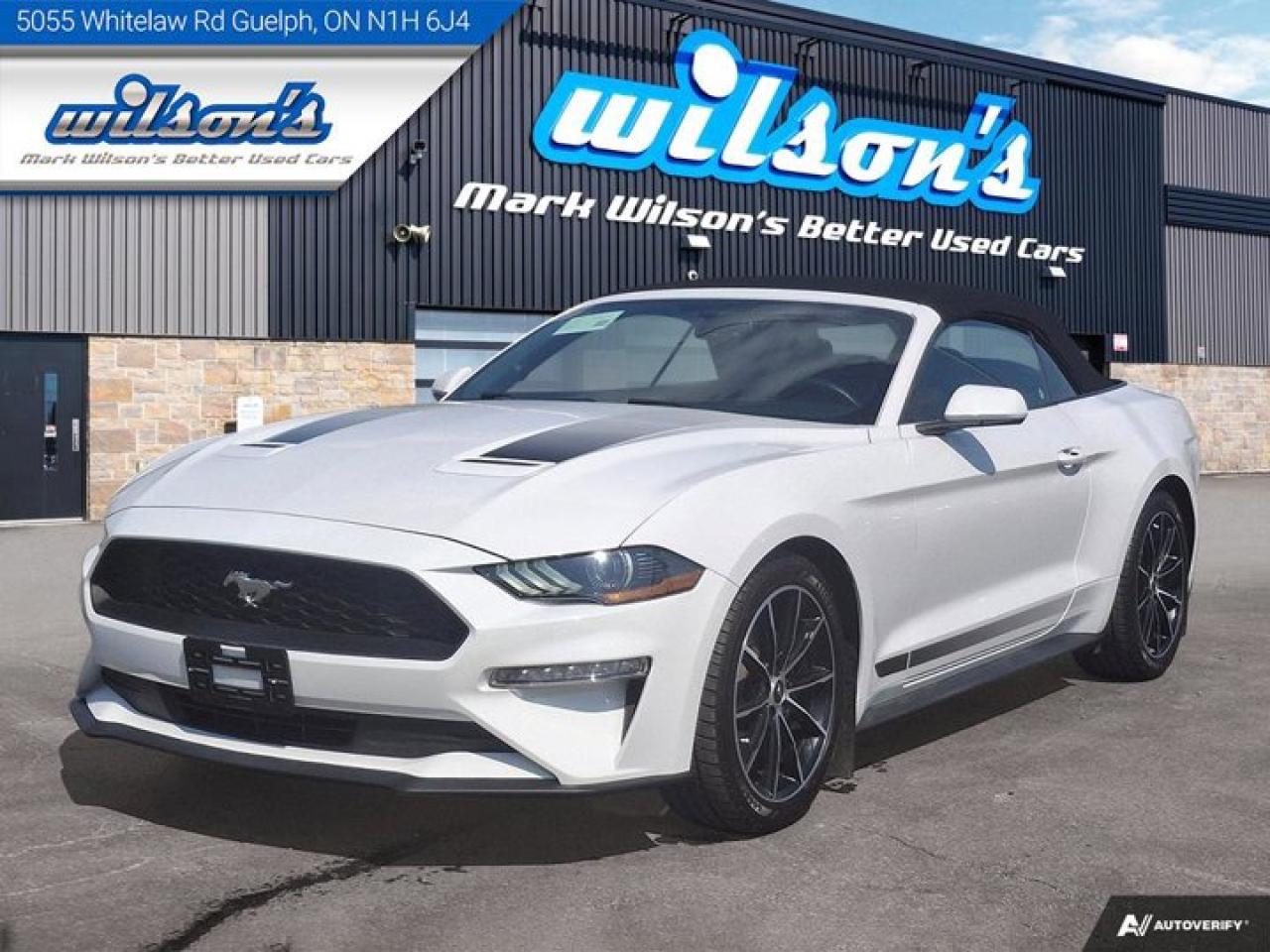 2020 Ford Mustang EcoBoost Convertible - Wheel & Stripe PKG | Auto | Reverse Camera | Summer Fun!! Photo0