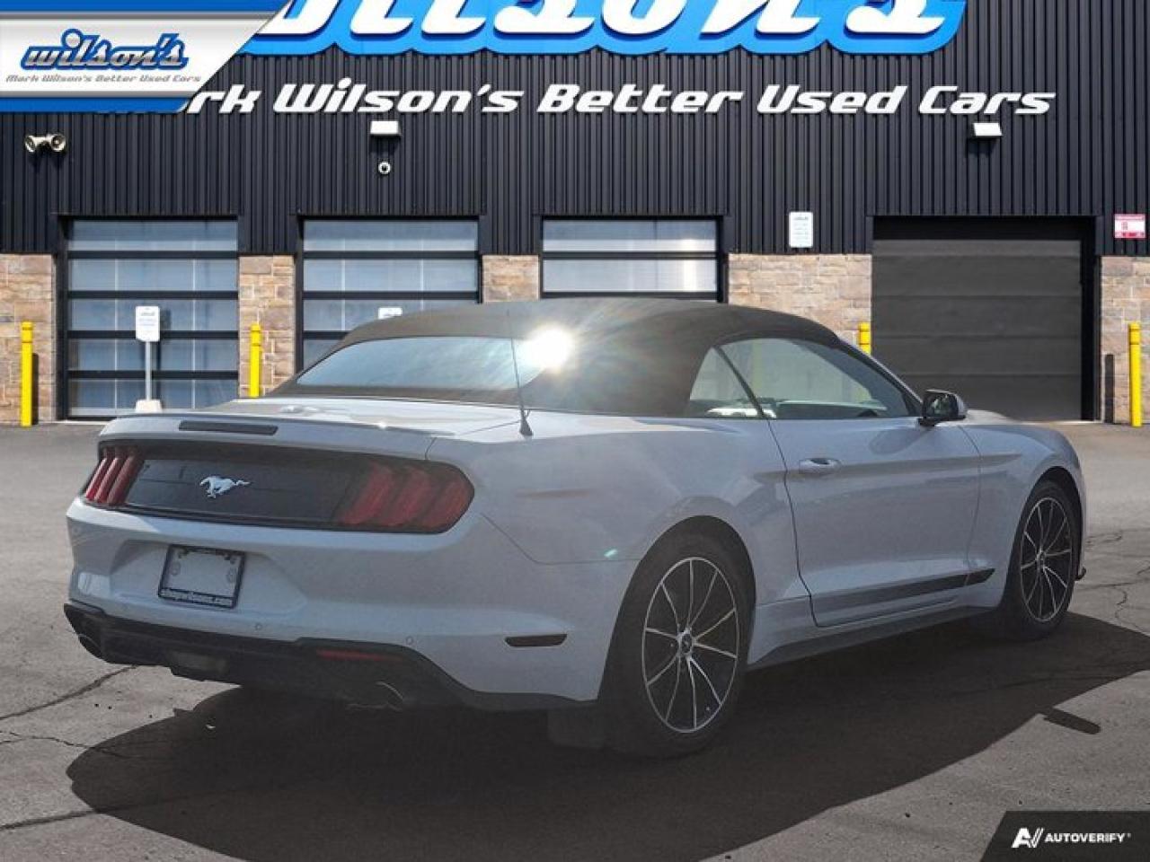2020 Ford Mustang EcoBoost Convertible - Wheel & Stripe PKG | Auto | Reverse Camera | Summer Fun!! Photo