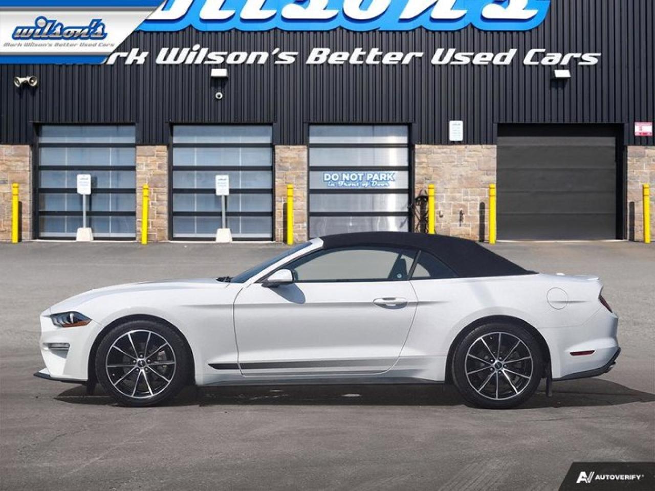 2020 Ford Mustang EcoBoost Convertible - Wheel & Stripe PKG | Auto | Reverse Camera | Summer Fun!! Photo