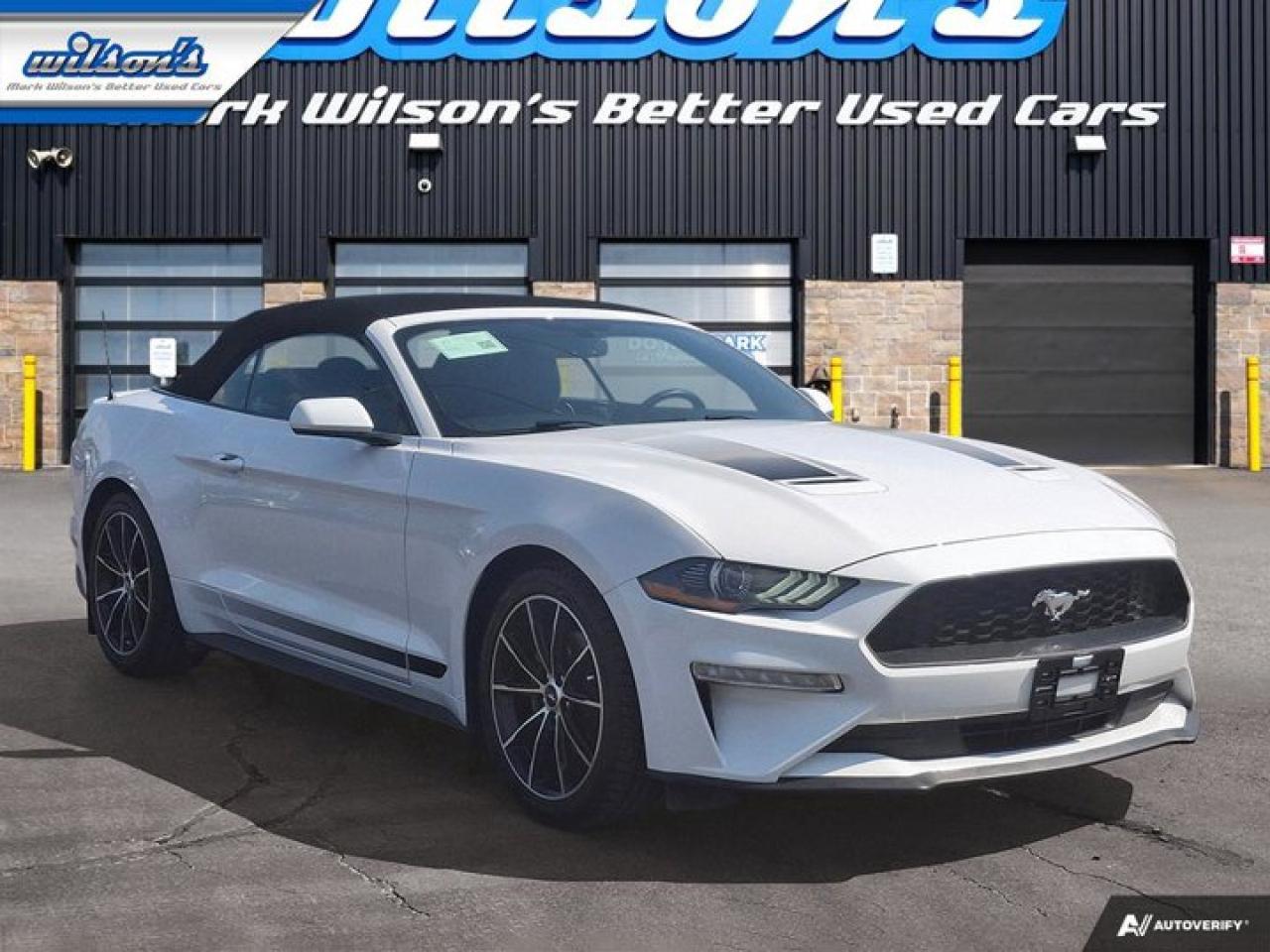 2020 Ford Mustang EcoBoost Convertible - Wheel & Stripe PKG | Auto | Reverse Camera | Summer Fun!! Photo