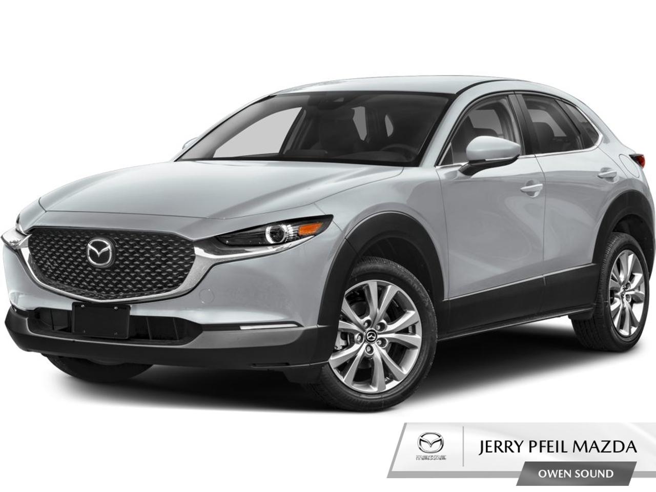 2025 Mazda CX-30 GS Photo