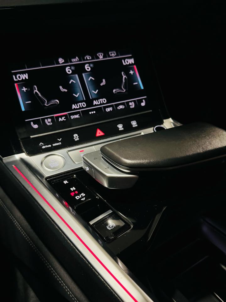 2019 Audi E-Tron Technik quattro - Photo #15