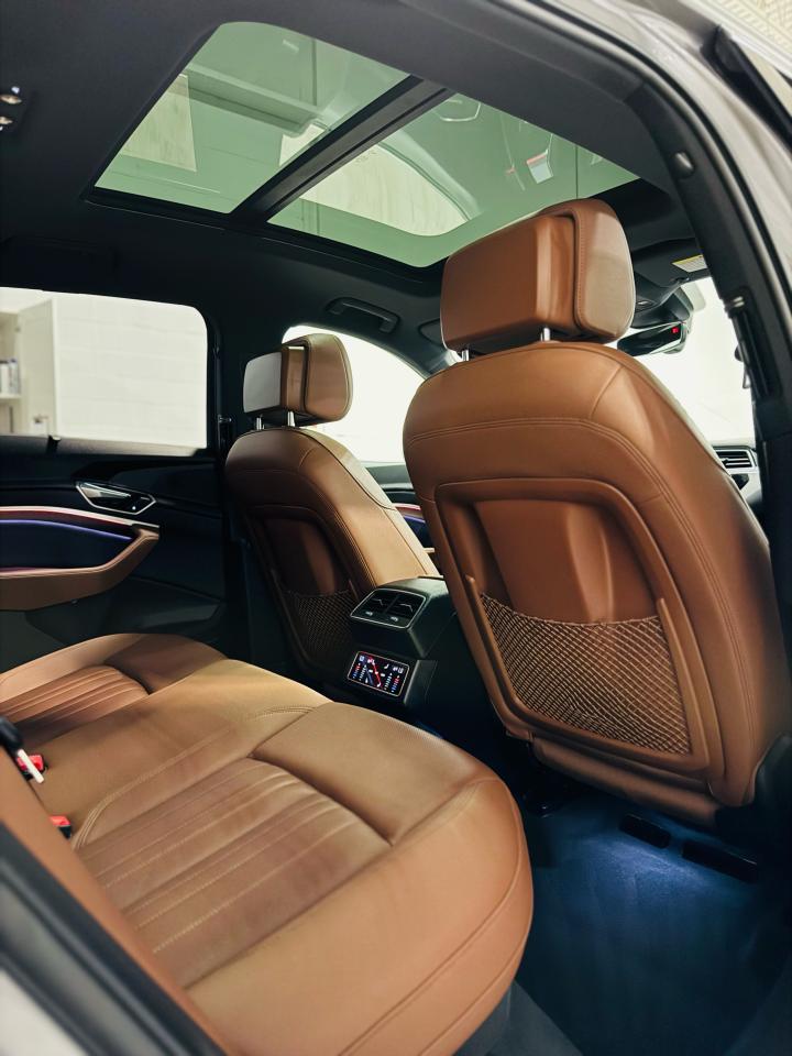 2019 Audi E-Tron Technik quattro - Photo #24