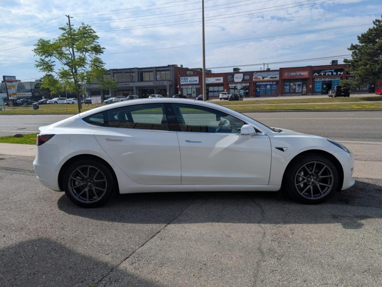 2019 Tesla Model 3 " - Photo #6
