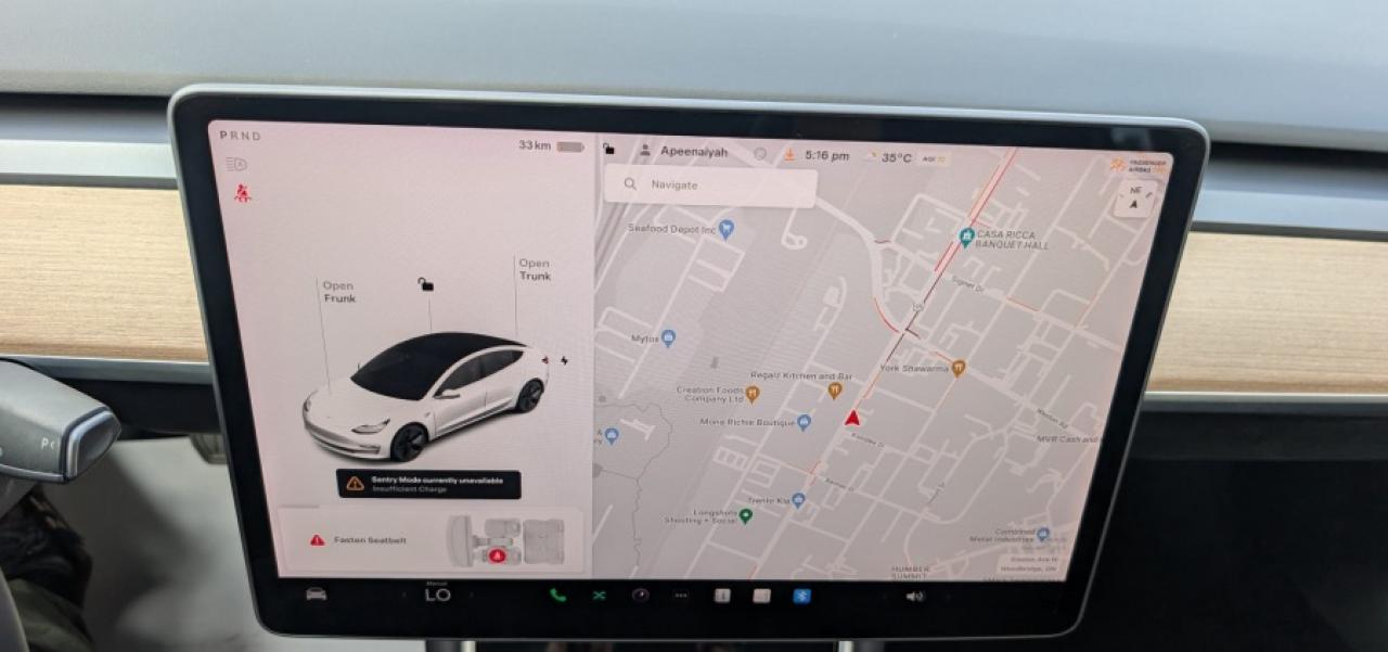 2019 Tesla Model 3 " - Photo #13
