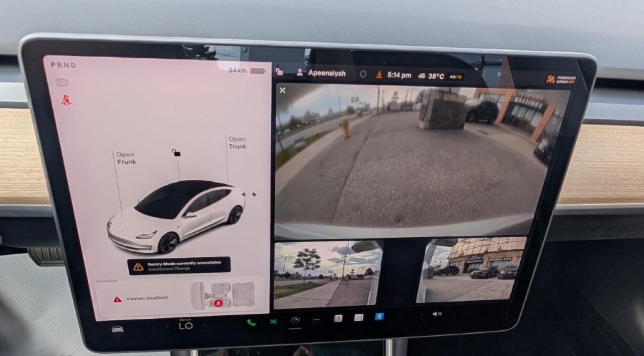 2019 Tesla Model 3 " - Photo #12