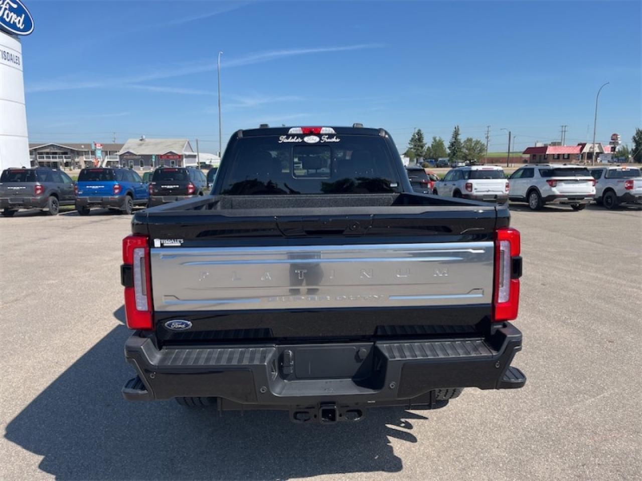 2025 Ford F-350 Super Duty Platinum Photo5
