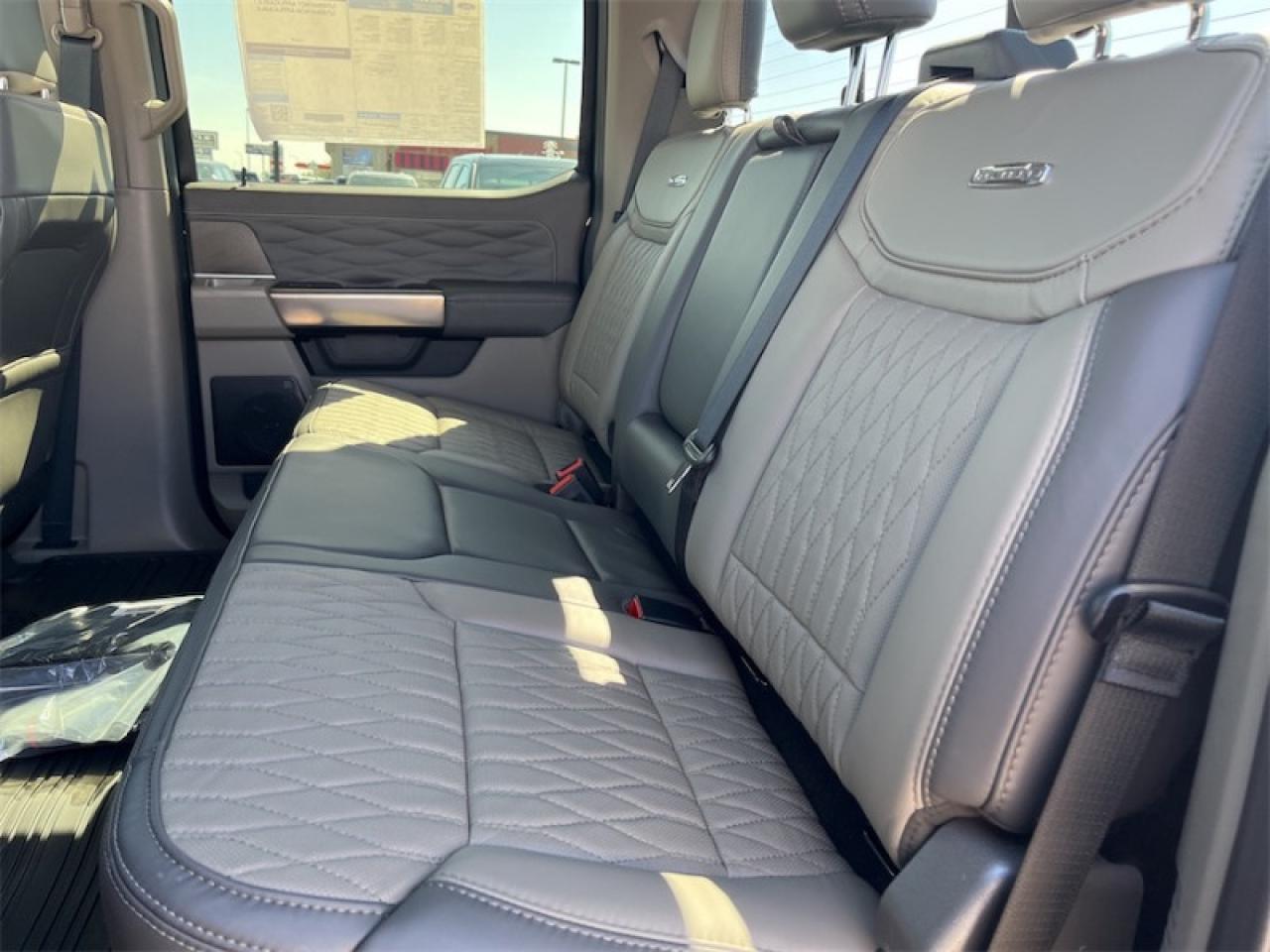 2025 Ford F-350 Super Duty Platinum Photo5