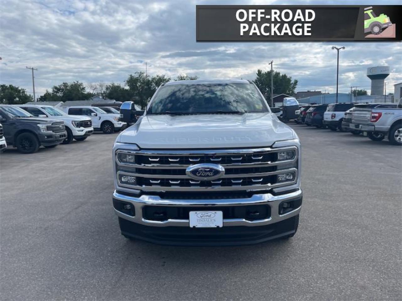 2025 Ford F-350 Super Duty LARIAT  - Tailgate Step Photo3