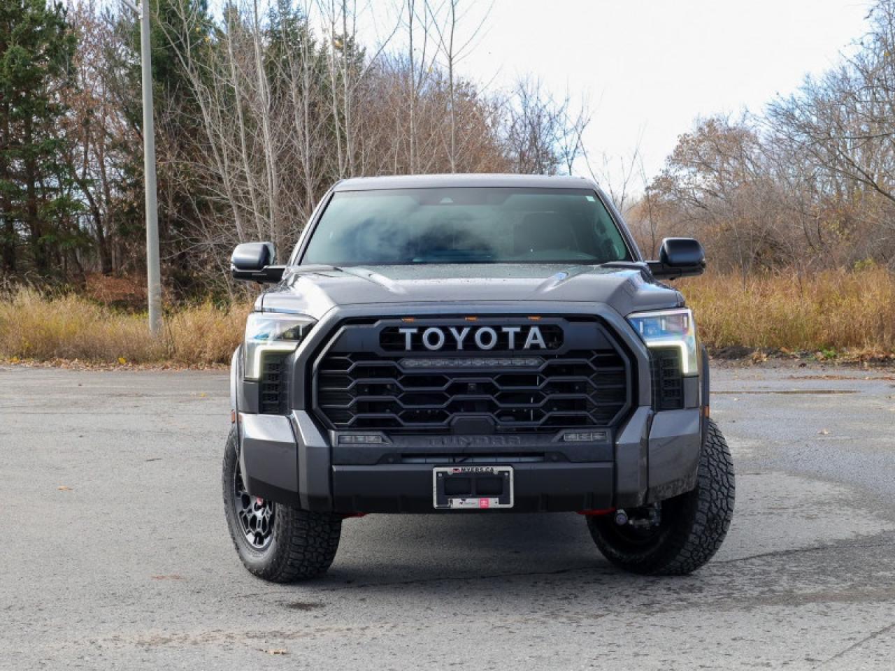 2025 Toyota Tundra Hybrid TRD Pro  - $619 B/W Photo