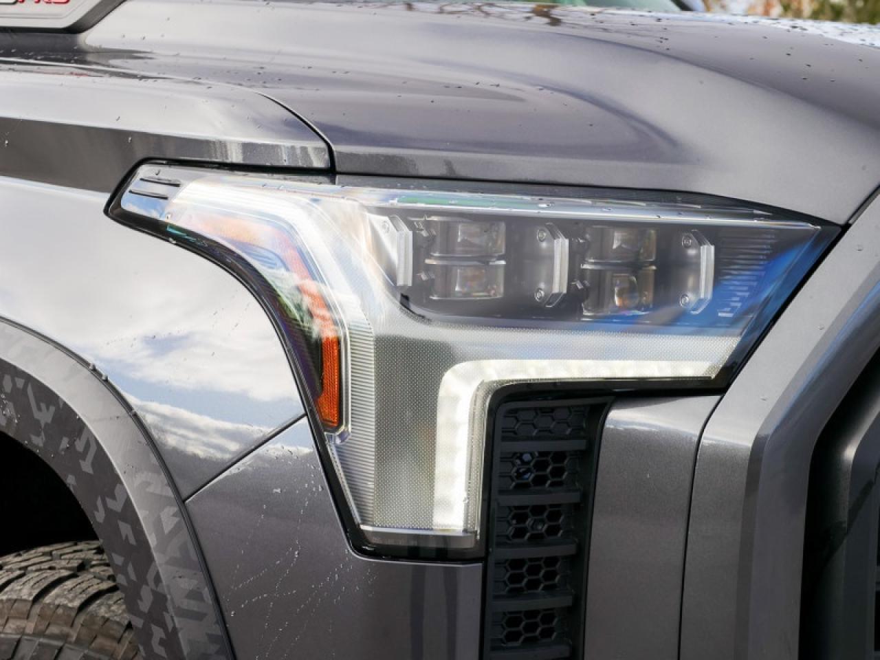 2025 Toyota Tundra Hybrid TRD Pro  - $619 B/W Photo