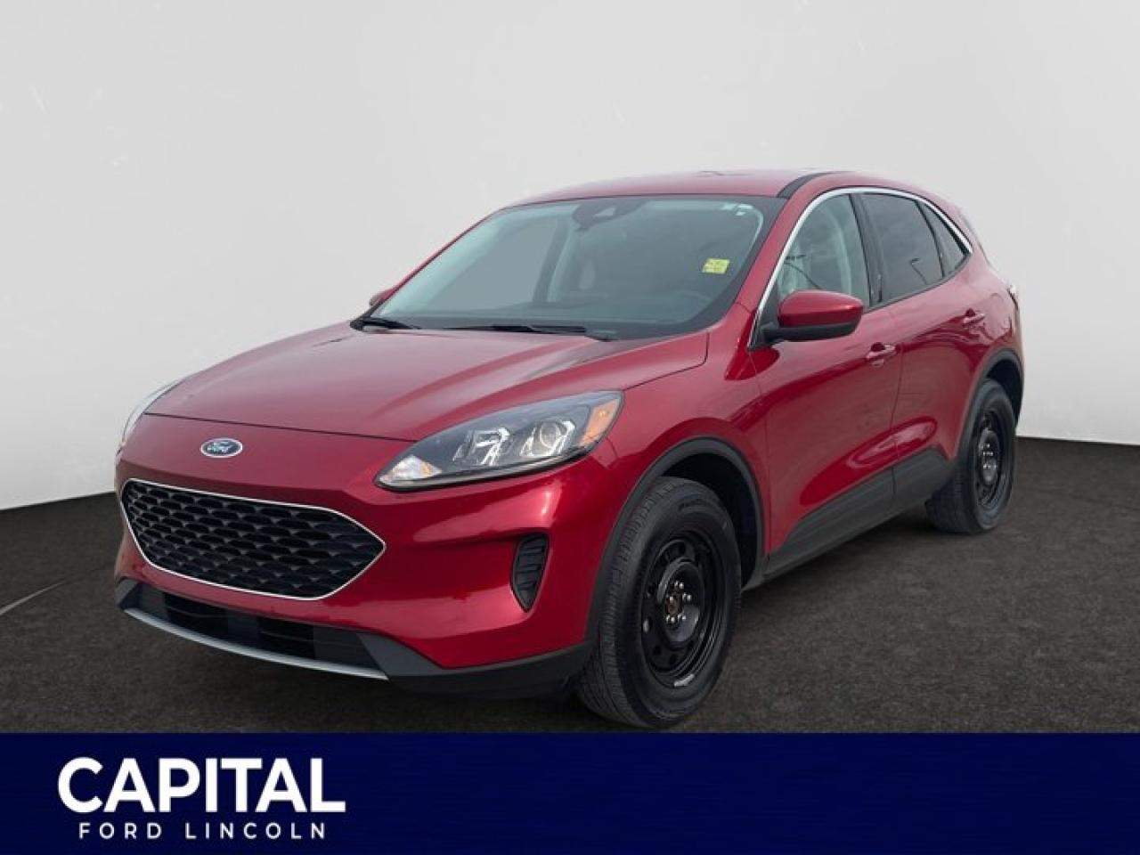 Used 2021 Ford Escape SE EcoBoost  AWD **New Arrival** for sale in Regina, SK