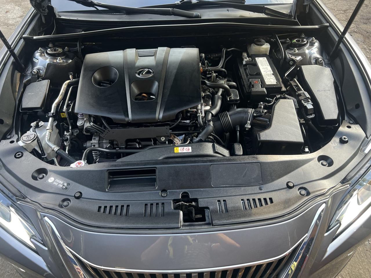 2021 Lexus ES 250 Base - Photo #6