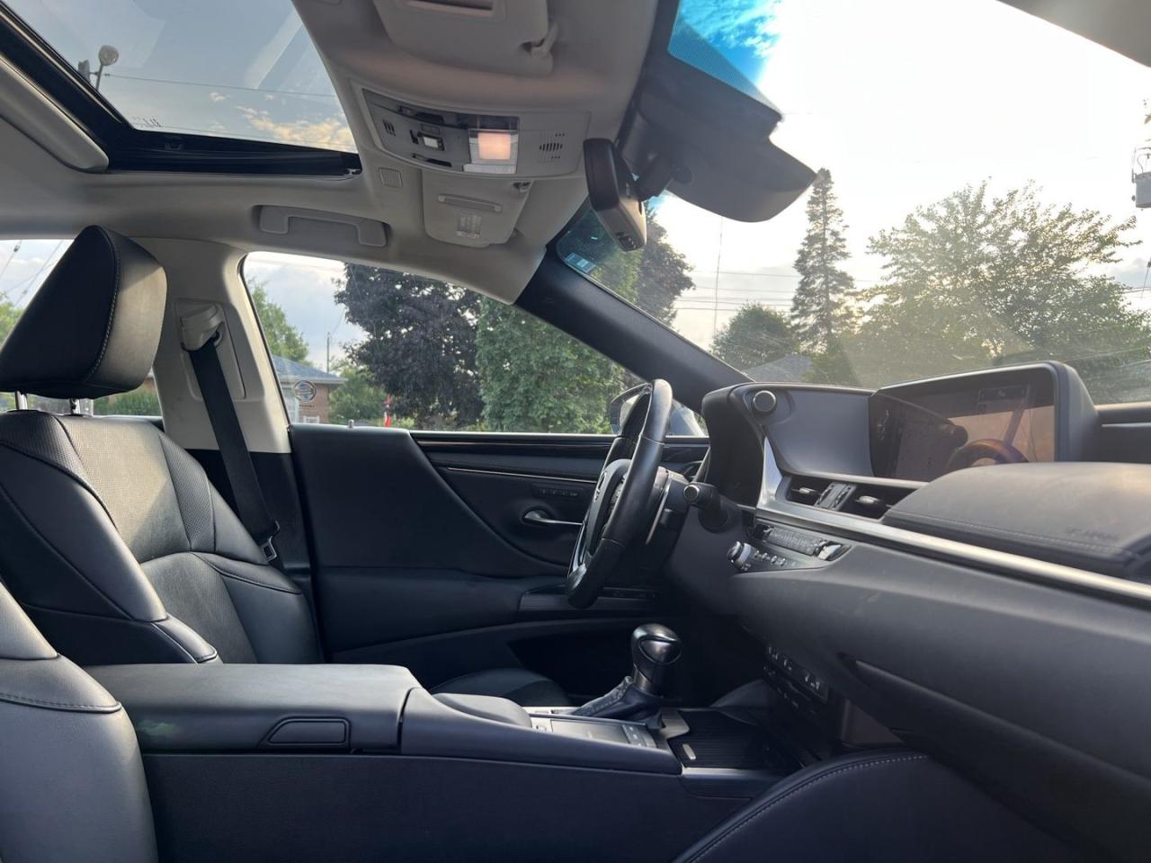 2021 Lexus ES 250 Base - Photo #9
