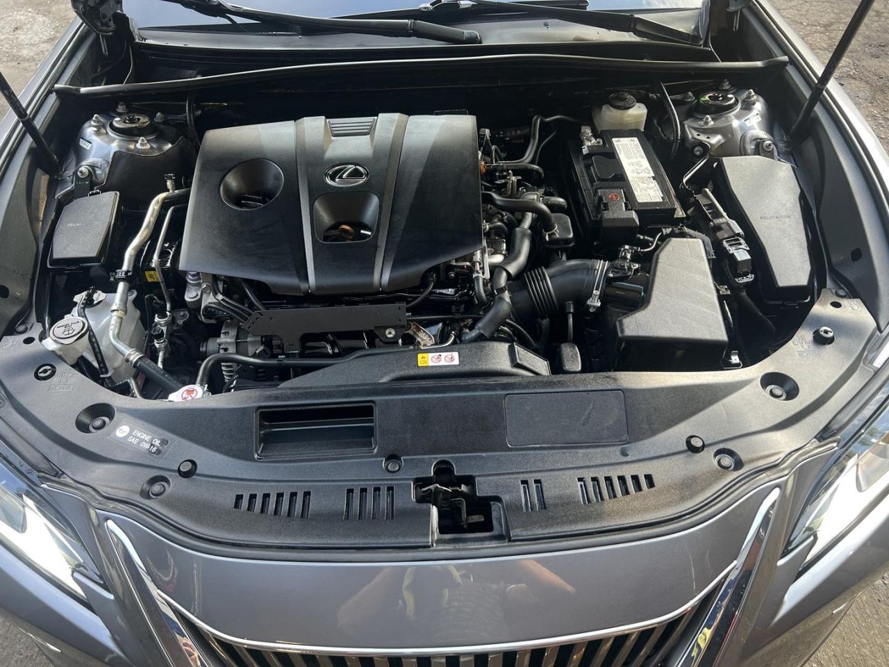 2021 Lexus ES 250 Base - Photo #6
