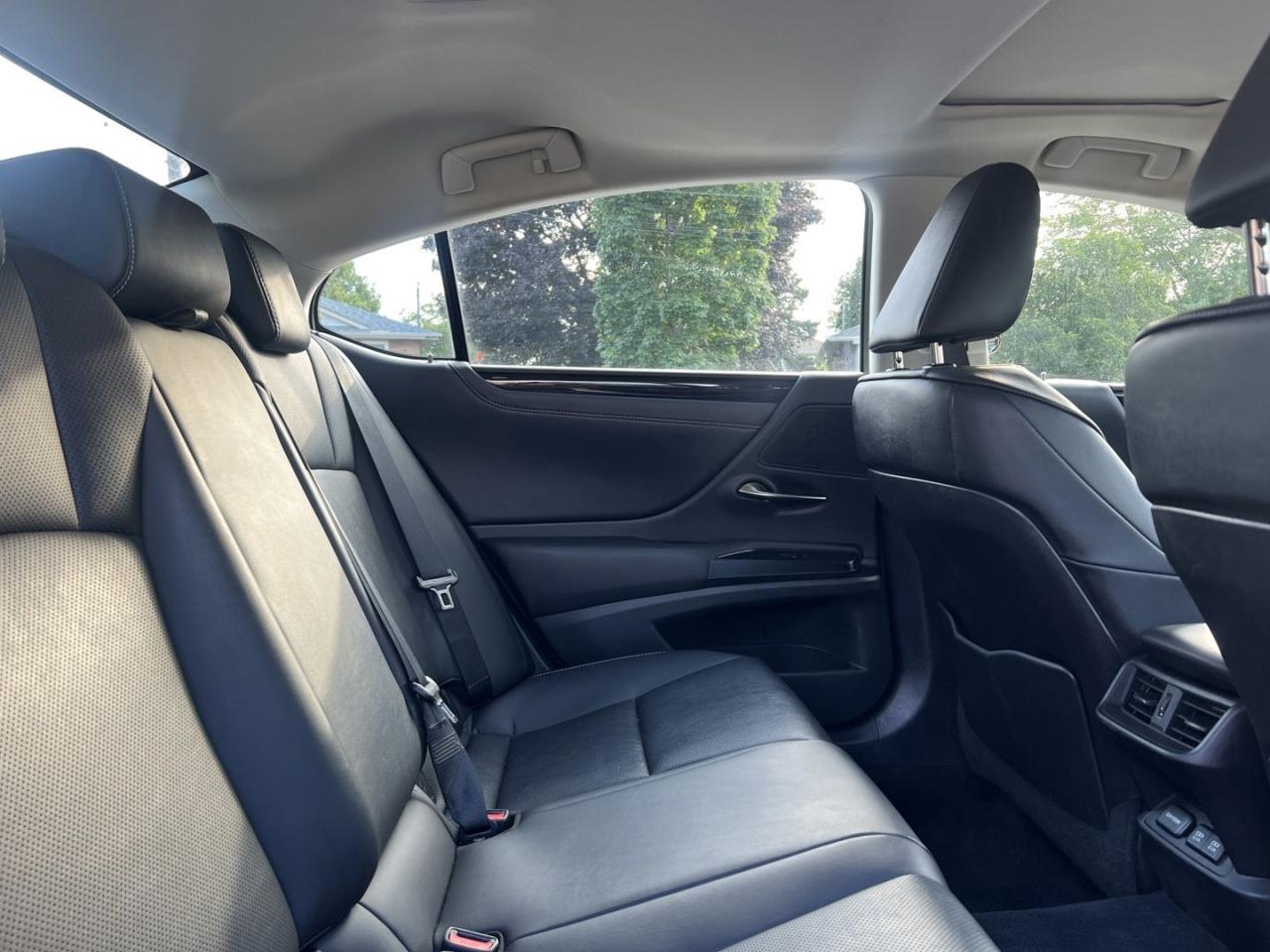 2021 Lexus ES 250 Base - Photo #8
