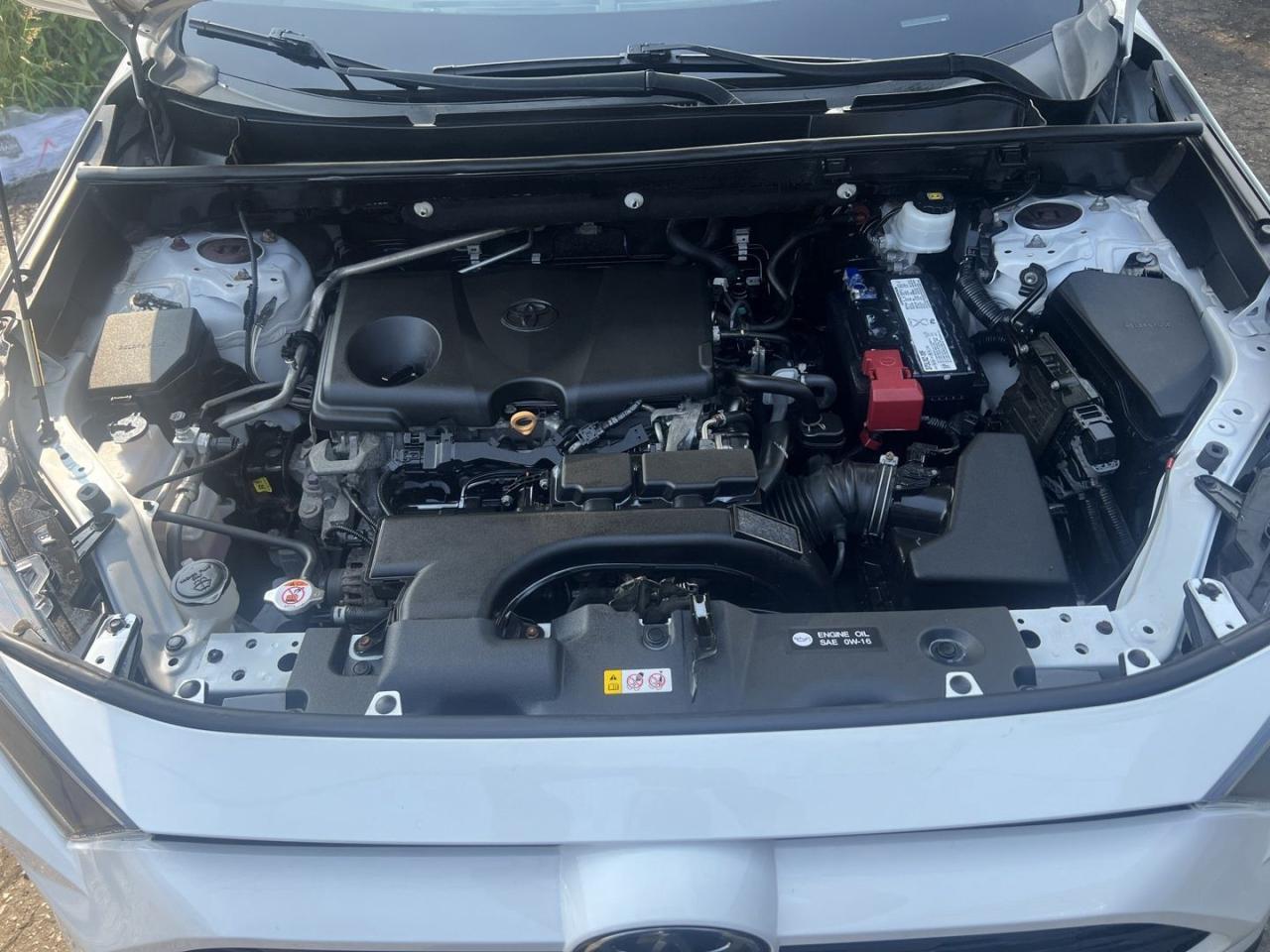 2019 Toyota RAV4 LE - Photo #8
