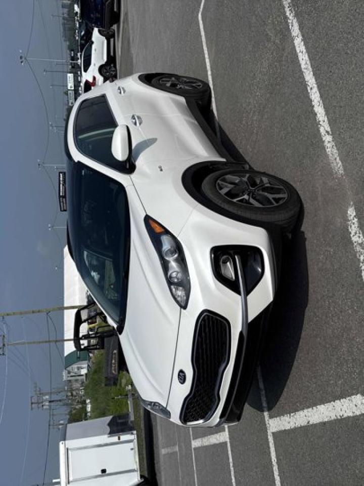 Used 2020 Kia Sportage EX AWD | Pano Roof | Apple CarPlay | Android Auto | Heated Seats & Steering | Cruise Control | for sale in Guelph, ON