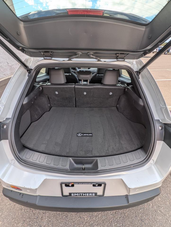 2022 Lexus UX UX 250H Photo