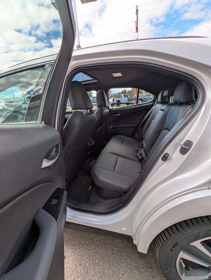2022 Lexus UX UX 250H Photo