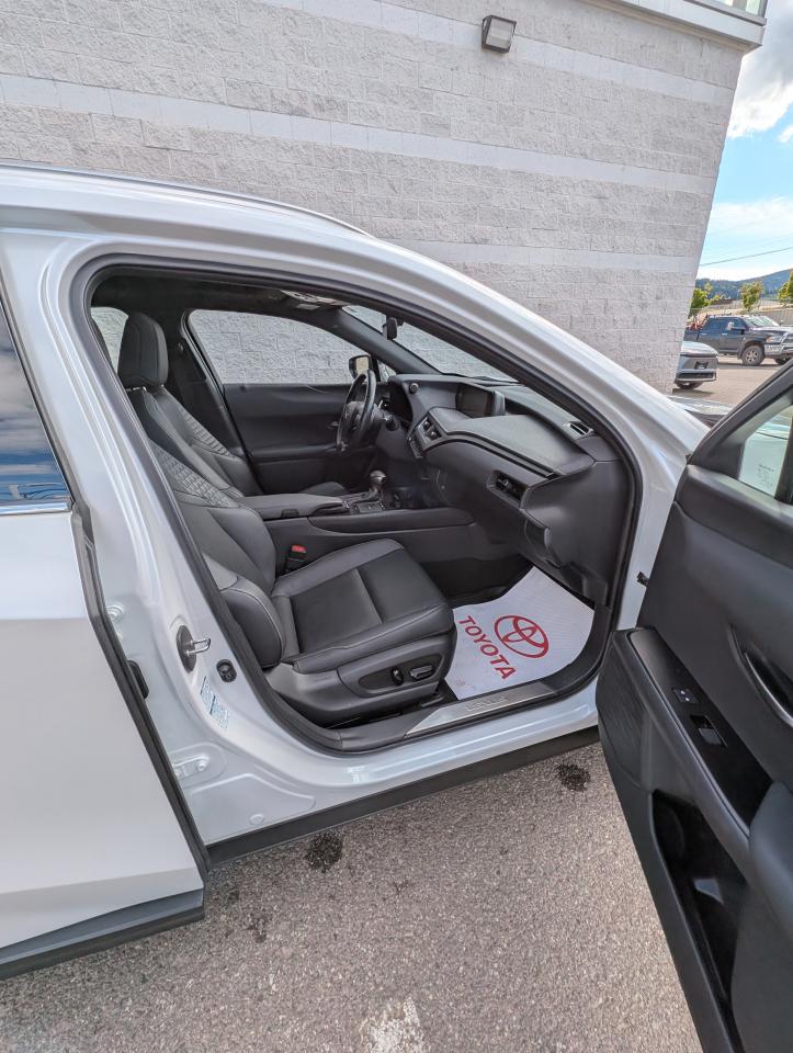 2022 Lexus UX UX 250H Photo