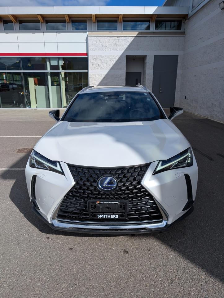 2022 Lexus UX UX 250H Photo