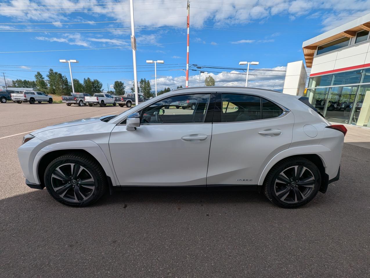 2022 Lexus UX UX 250H Photo