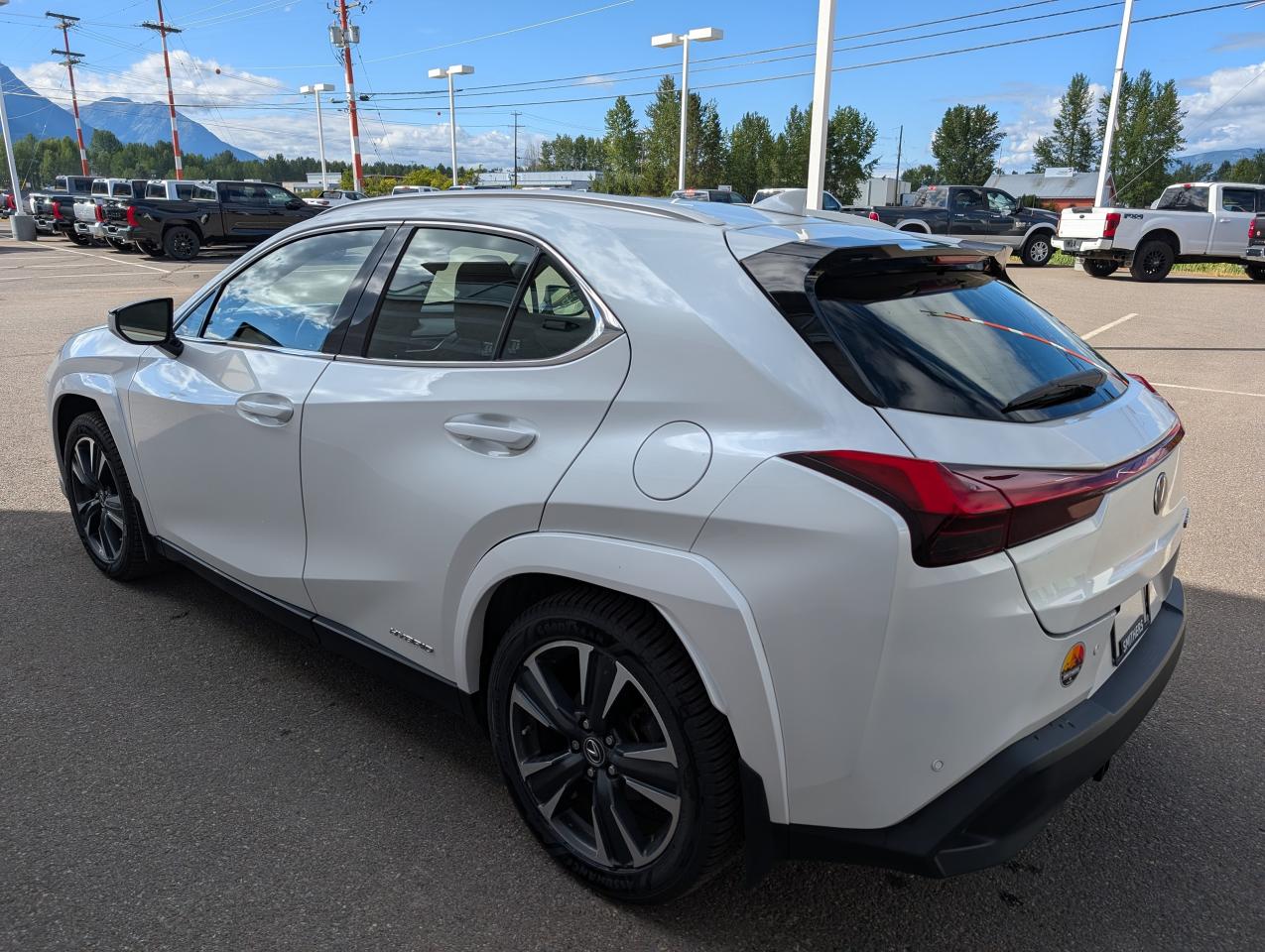 2022 Lexus UX UX 250H Photo4