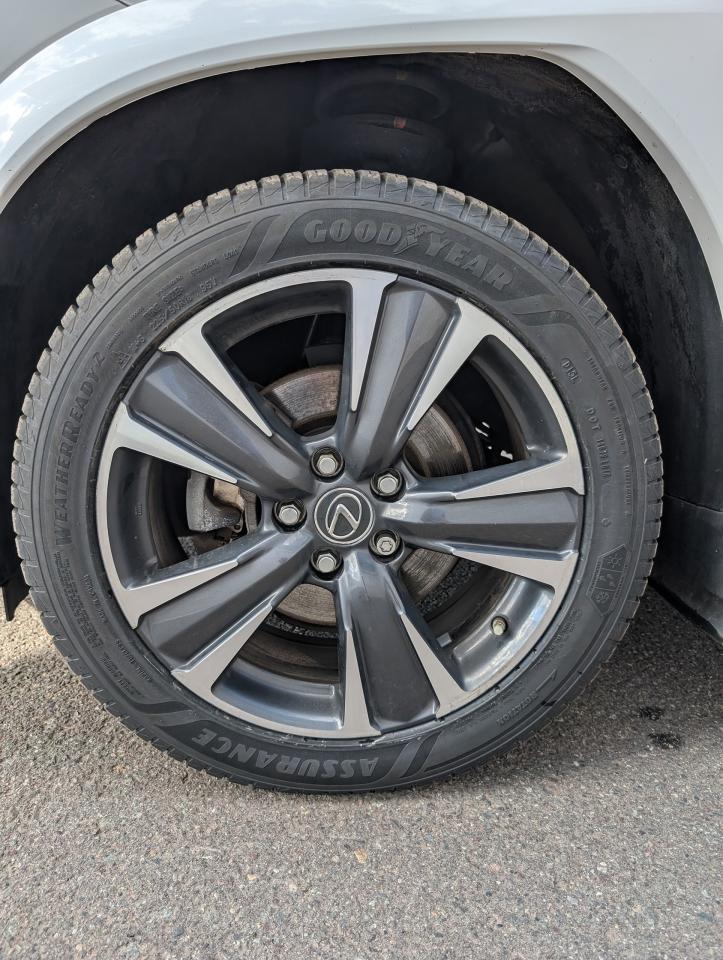 2022 Lexus UX UX 250H Photo