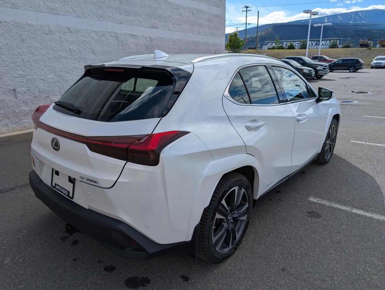 2022 Lexus UX UX 250H Photo